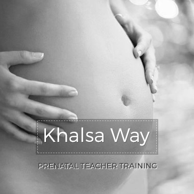 Khalsa Way